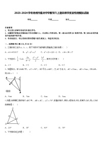 2023-2024学年池州市重点中学数学八上期末教学质量检测模拟试题含答案