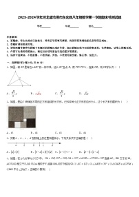 2023-2024学年河北省沧州市东光县八年级数学第一学期期末检测试题含答案