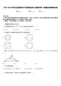 2023-2024学年河北省承德市丰宁满族自治县八年级数学第一学期期末调研模拟试题含答案