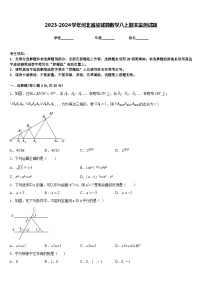 2023-2024学年河北省故城县数学八上期末监测试题含答案