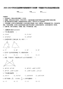 2023-2024学年河北省邯郸市馆陶县数学八年级第一学期期末学业质量监测模拟试题含答案