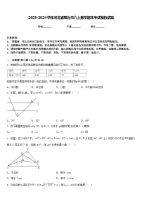 2023-2024学年河北省邢台市八上数学期末考试模拟试题含答案