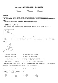 2023-2024学年河北省数学八上期末监测试题含答案