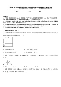 2023-2024学年河南省辉县八年级数学第一学期期末复习检测试题含答案