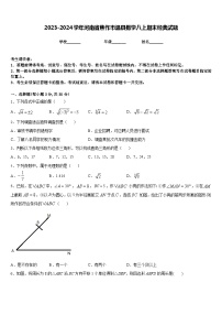 2023-2024学年河南省焦作市温县数学八上期末经典试题含答案