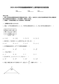 2023-2024学年河南省临颍县联考八上数学期末综合测试试题含答案