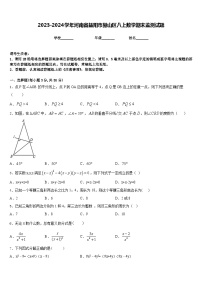 2023-2024学年河南省益阳市赫山区八上数学期末监测试题含答案