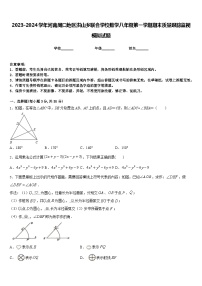 2023-2024学年河南周口地区洪山乡联合学校数学八年级第一学期期末质量跟踪监视模拟试题含答案