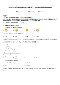 2023-2024学年河南省郑州一中数学八上期末教学质量检测模拟试题含答案