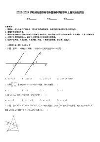 2023-2024学年河南省郑州市外国语中学数学八上期末预测试题含答案