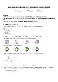 2023-2024学年河南省鹤壁市名校八年级数学第一学期期末预测试题含答案