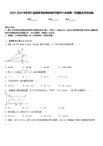 2023-2024学年浙江省慈溪市附海初级中学数学八年级第一学期期末统考试题含答案