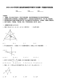 2023-2024学年浙江省杭州市保俶塔中学数学八年级第一学期期末检测试题含答案