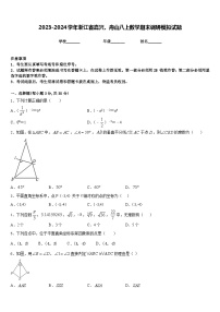 2023-2024学年浙江省嘉兴、舟山八上数学期末调研模拟试题含答案