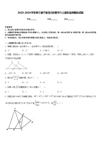 2023-2024学年浙江省宁波北仑区数学八上期末监测模拟试题含答案