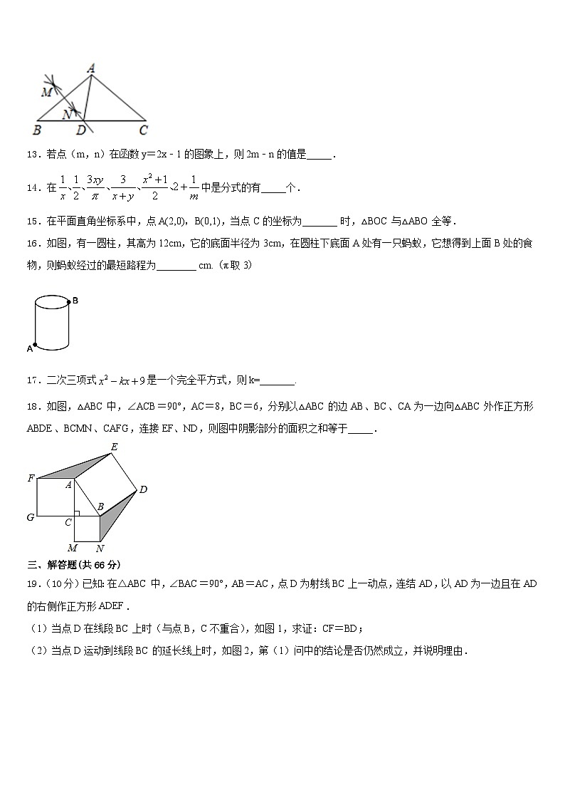 2023-2024学年浙江省丽水数学八年级第一学期期末教学质量检测试题含答案第3页