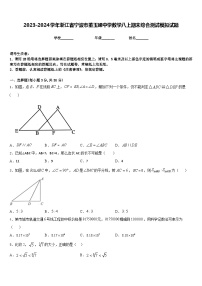 2023-2024学年浙江省宁波市董玉娣中学数学八上期末综合测试模拟试题含答案