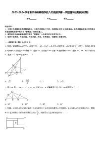 2023-2024学年浙江嵊州蒋镇学校八年级数学第一学期期末经典模拟试题含答案