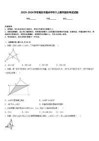 2023-2024学年海东市重点中学八上数学期末考试试题含答案