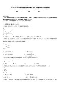 2023-2024学年海南省儋州市第五中学八上数学期末检测试题含答案