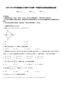 2023-2024学年海南省东方市数学八年级第一学期期末质量跟踪监视模拟试题含答案