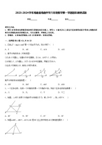 2023-2024学年海南省海南中学八年级数学第一学期期末调研试题含答案