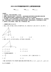 2023-2024学年海西市重点中学八上数学期末联考试题含答案