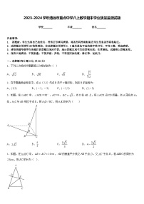 2023-2024学年清远市重点中学八上数学期末学业质量监测试题含答案