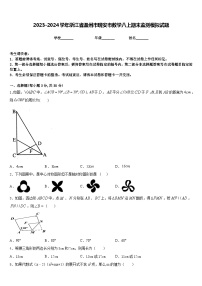 2023-2024学年浙江省温州市瑞安市数学八上期末监测模拟试题含答案