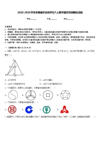 2023-2024学年深圳锦华实验学校八上数学期末检测模拟试题含答案