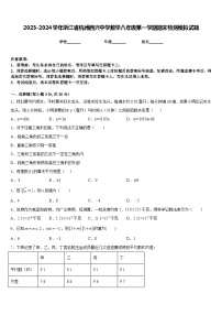 2023-2024学年浙江省杭州西兴中学数学八年级第一学期期末检测模拟试题含答案