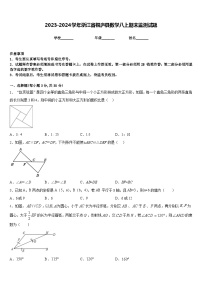 2023-2024学年浙江省桐庐县数学八上期末监测试题含答案