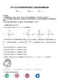 2023-2024学年深圳实验学校数学八上期末达标检测模拟试题含答案