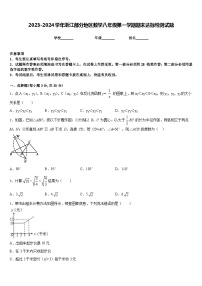 2023-2024学年浙江部分地区数学八年级第一学期期末达标检测试题含答案