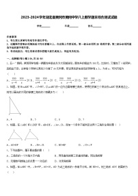 2023-2024学年湖北省黄冈市黄冈中学八上数学期末综合测试试题含答案