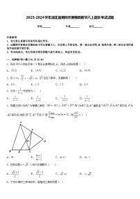 2023-2024学年湖北省黄冈市黄梅县数学八上期末考试试题含答案