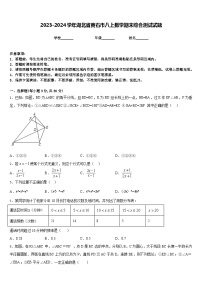 2023-2024学年湖北省黄石市八上数学期末综合测试试题含答案