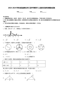 2023-2024学年湖北省黄石市江北中学数学八上期末质量检测模拟试题含答案