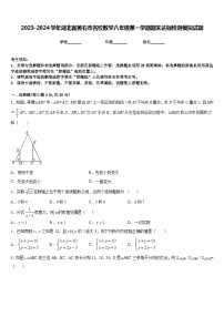 2023-2024学年湖北省黄石市名校数学八年级第一学期期末达标检测模拟试题含答案