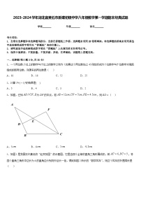 2023-2024学年湖北省黄石市新建初级中学八年级数学第一学期期末经典试题含答案