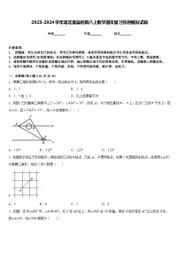 2023-2024学年湖北省监利县八上数学期末复习检测模拟试题含答案