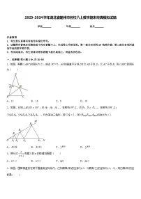 2023-2024学年湖北省随州市名校八上数学期末经典模拟试题含答案