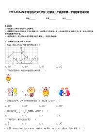 2023-2024学年湖北省武汉江岸区七校联考八年级数学第一学期期末统考试题含答案