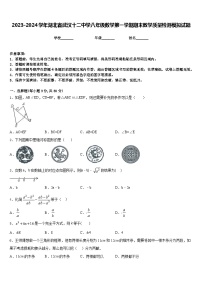 2023-2024学年湖北省武汉十二中学八年级数学第一学期期末教学质量检测模拟试题含答案