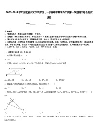 2023-2024学年湖北省武汉市江岸区七一华源中学数学八年级第一学期期末综合测试试题含答案