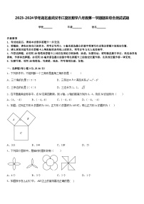 2023-2024学年湖北省武汉市江夏区数学八年级第一学期期末综合测试试题含答案