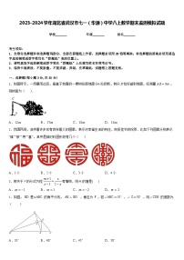 2023-2024学年湖北省武汉市七一（华源）中学八上数学期末监测模拟试题含答案