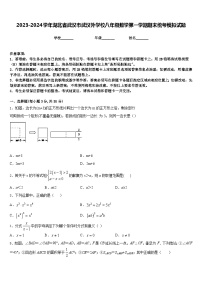 2023-2024学年湖北省武汉市武汉外学校八年级数学第一学期期末统考模拟试题含答案