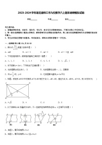 2023-2024学年湖北省枝江市九校数学八上期末调研模拟试题含答案