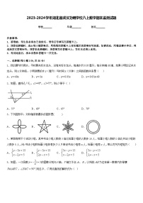 2023-2024学年湖北省武汉为明学校八上数学期末监测试题含答案